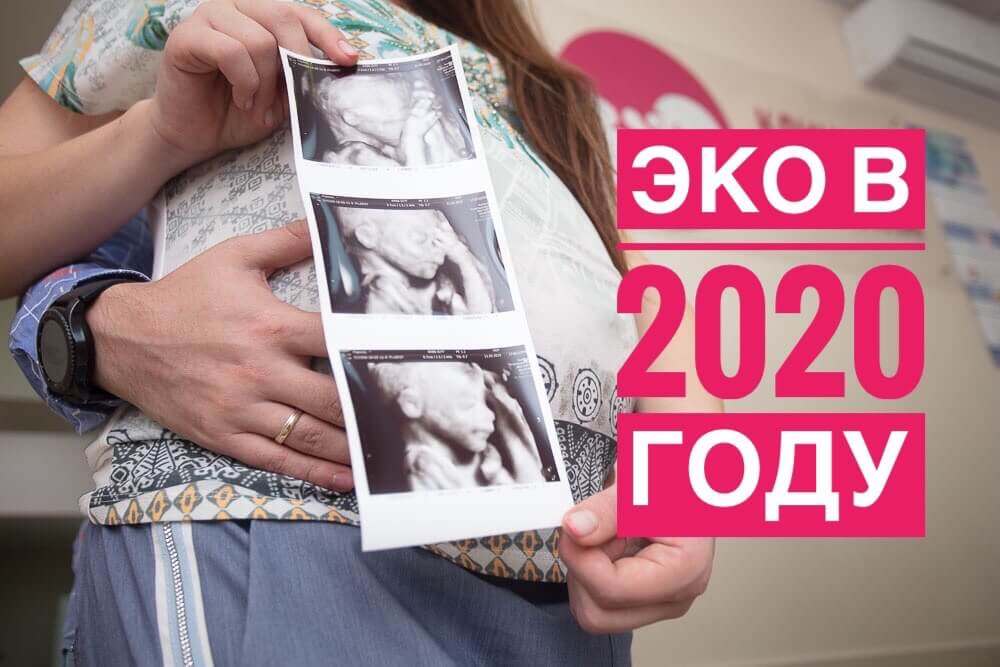 Эко ожидание. Эко по ОМС 2020. Квота на эко в 2020. Квота на эко в 2021. Квота на эко в Москве.